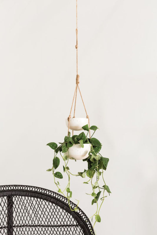 Double Hanging Planter
