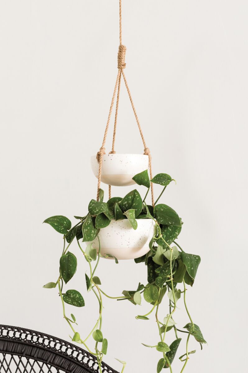 Double Hanging Planter