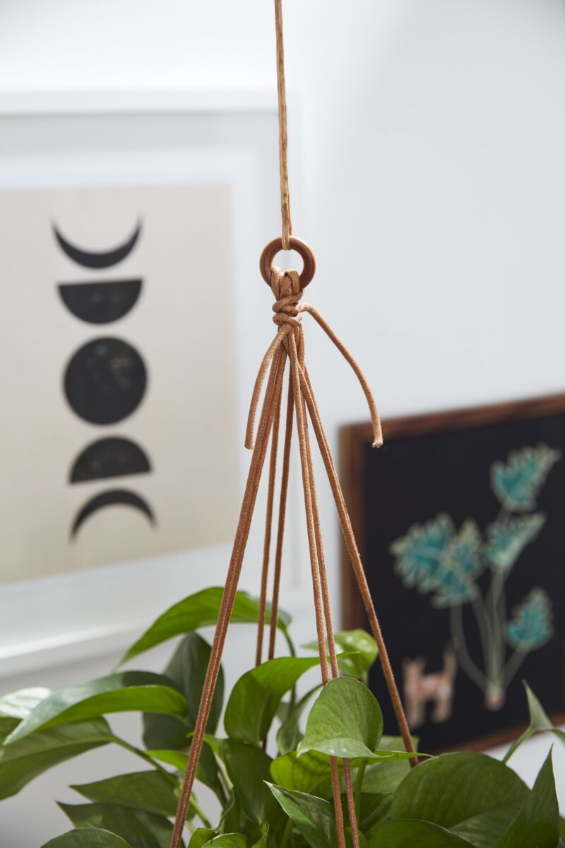 Hanging Plant Pot